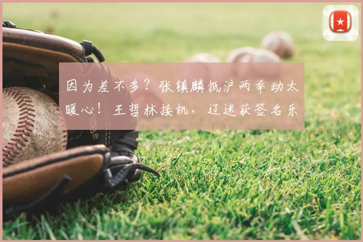 因为差不多？张镇麟抵沪两举动太暖心！王哲林接机，辽迷获签名乐开花