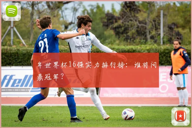 年世界杯16强实力排行榜：谁将问鼎冠军？