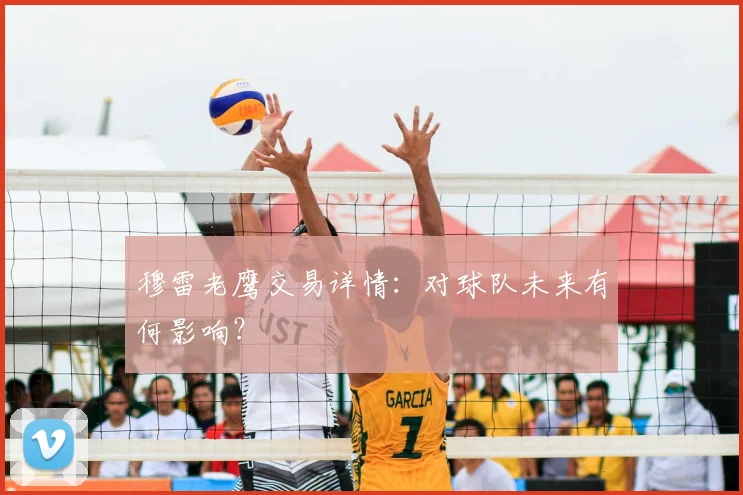穆雷老鹰交易详情：对球队未来有何影响？